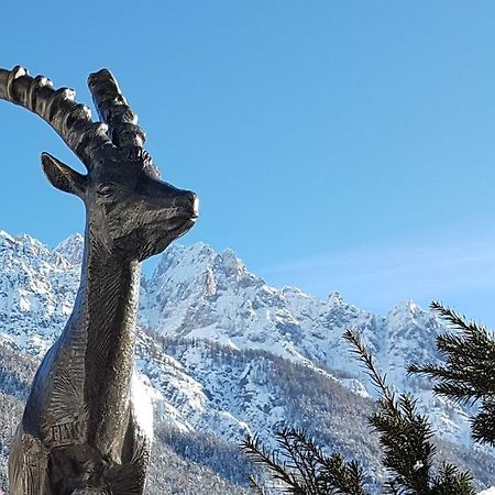 Apartament Nigritella Kranjska Gora Zewnętrze zdjęcie