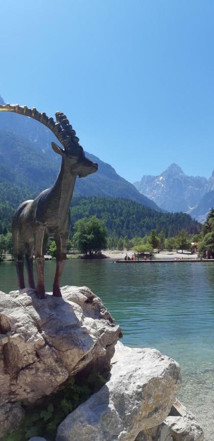 Apartament Nigritella Kranjska Gora Zewnętrze zdjęcie